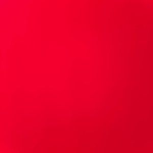 Meet your Posher, Sammy